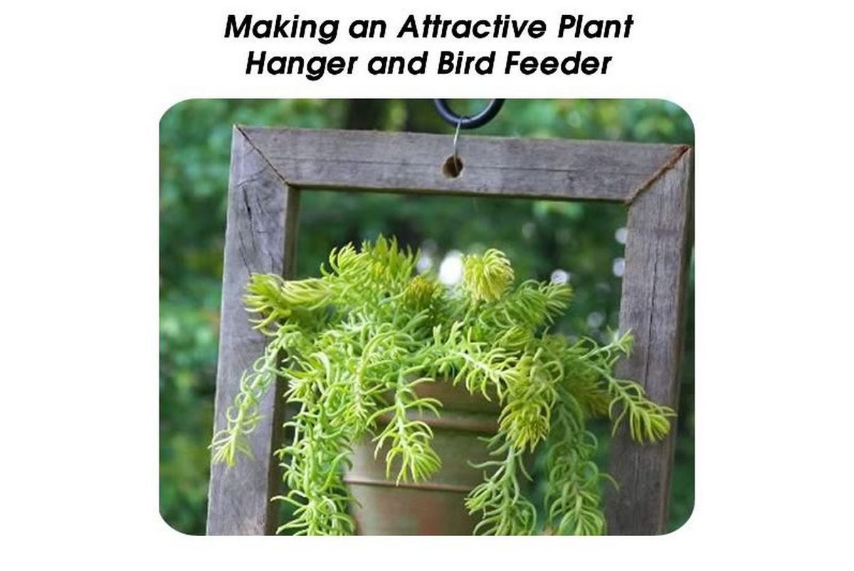 Making an Attractive Plant Hanger and Bird Feeder