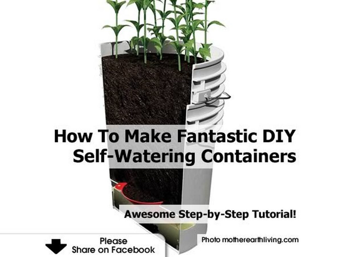 How To Make Fantastic DIY SelfWatering Containers