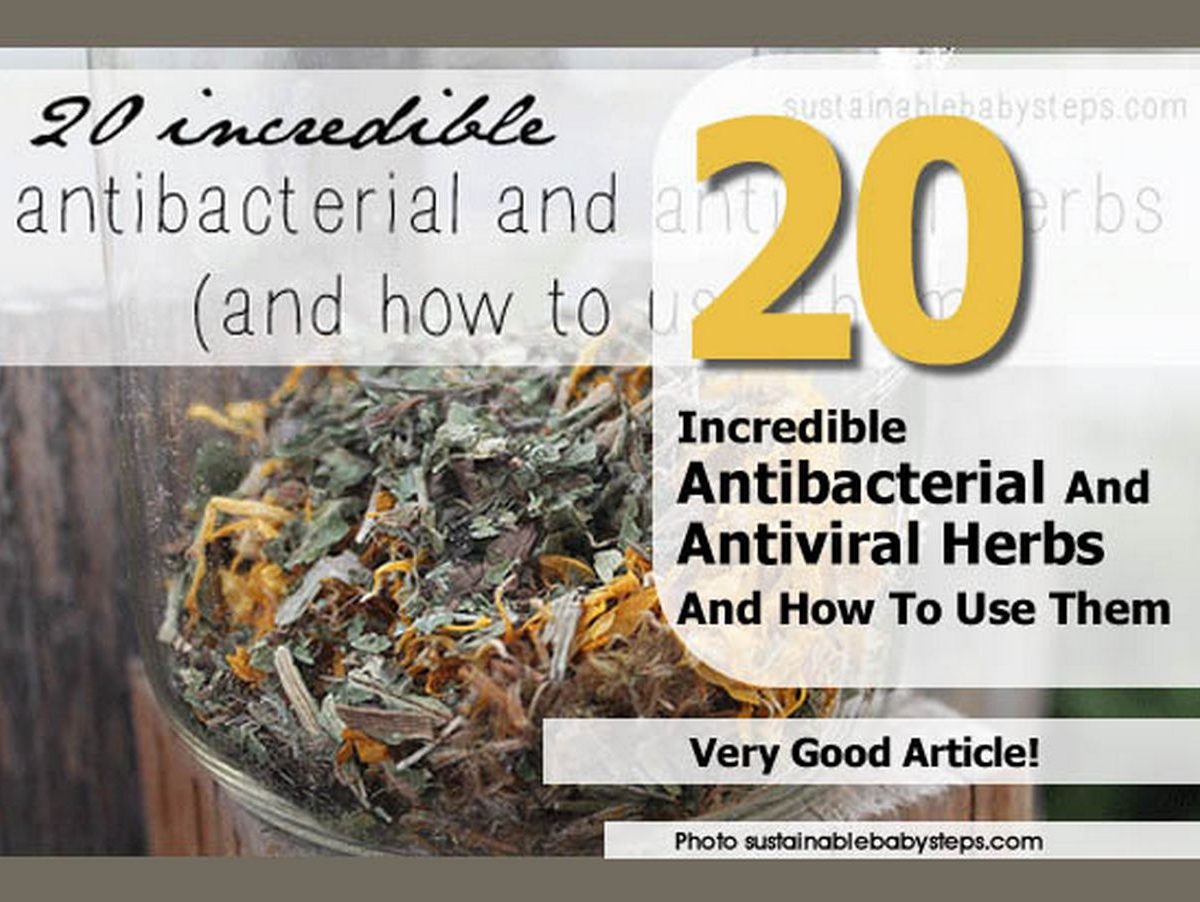 20 Incredible Antibacterial And Antiviral Herbs And How To Use Them