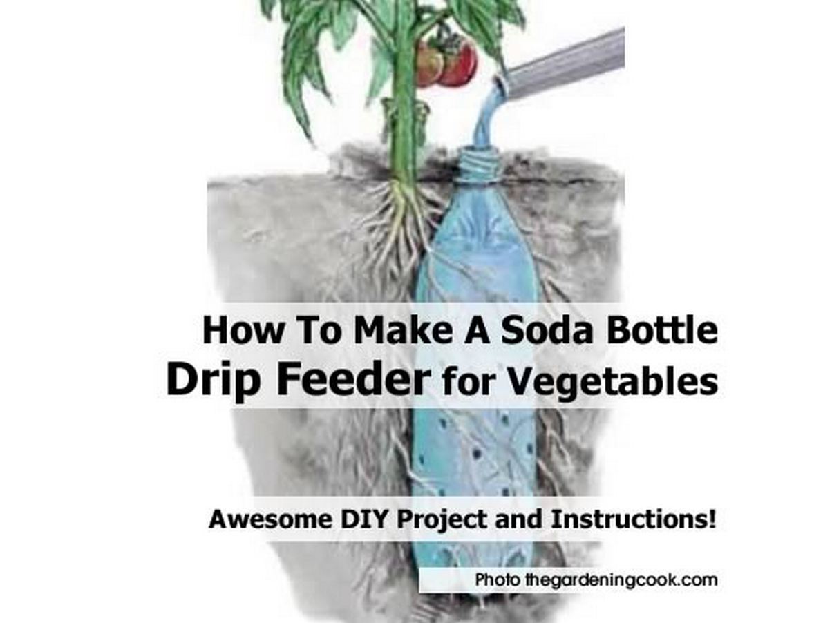 How To Make A Soda Bottle Drip Feeder for Vegetables