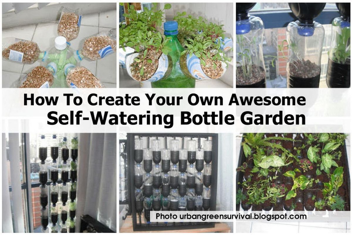 How To Create Your Own Awesome SelfWatering Bottle Garden