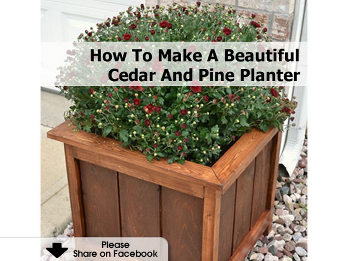 How To Make A Beautiful Cedar And Pine Planter