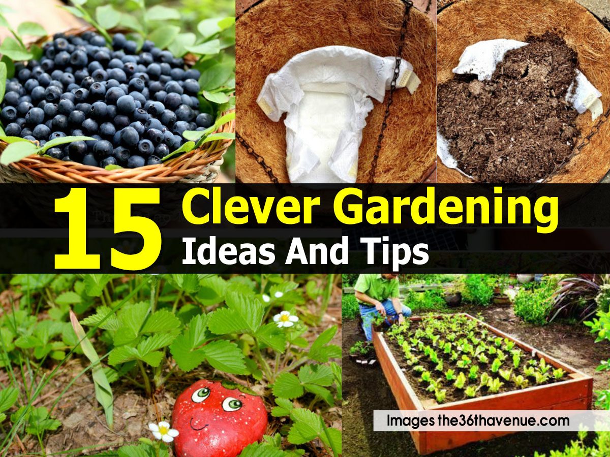 15 Clever Gardening Ideas And Tips