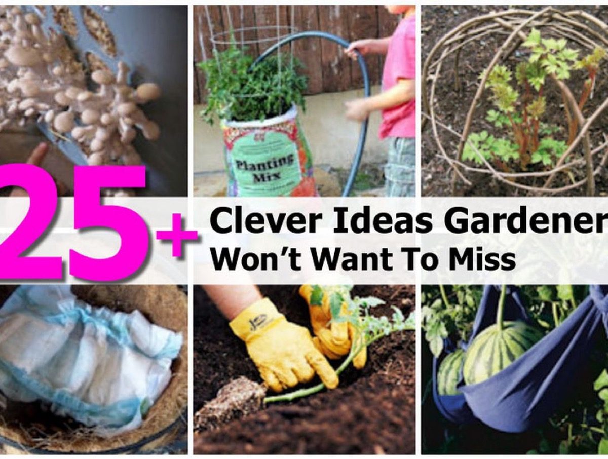 25+ Clever Ideas Gardeners Won’t Want To Miss