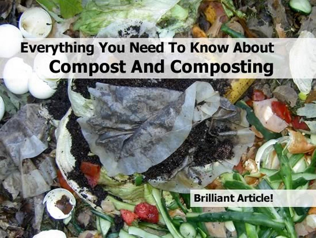 Everything You Need To Know About Compost And Composting