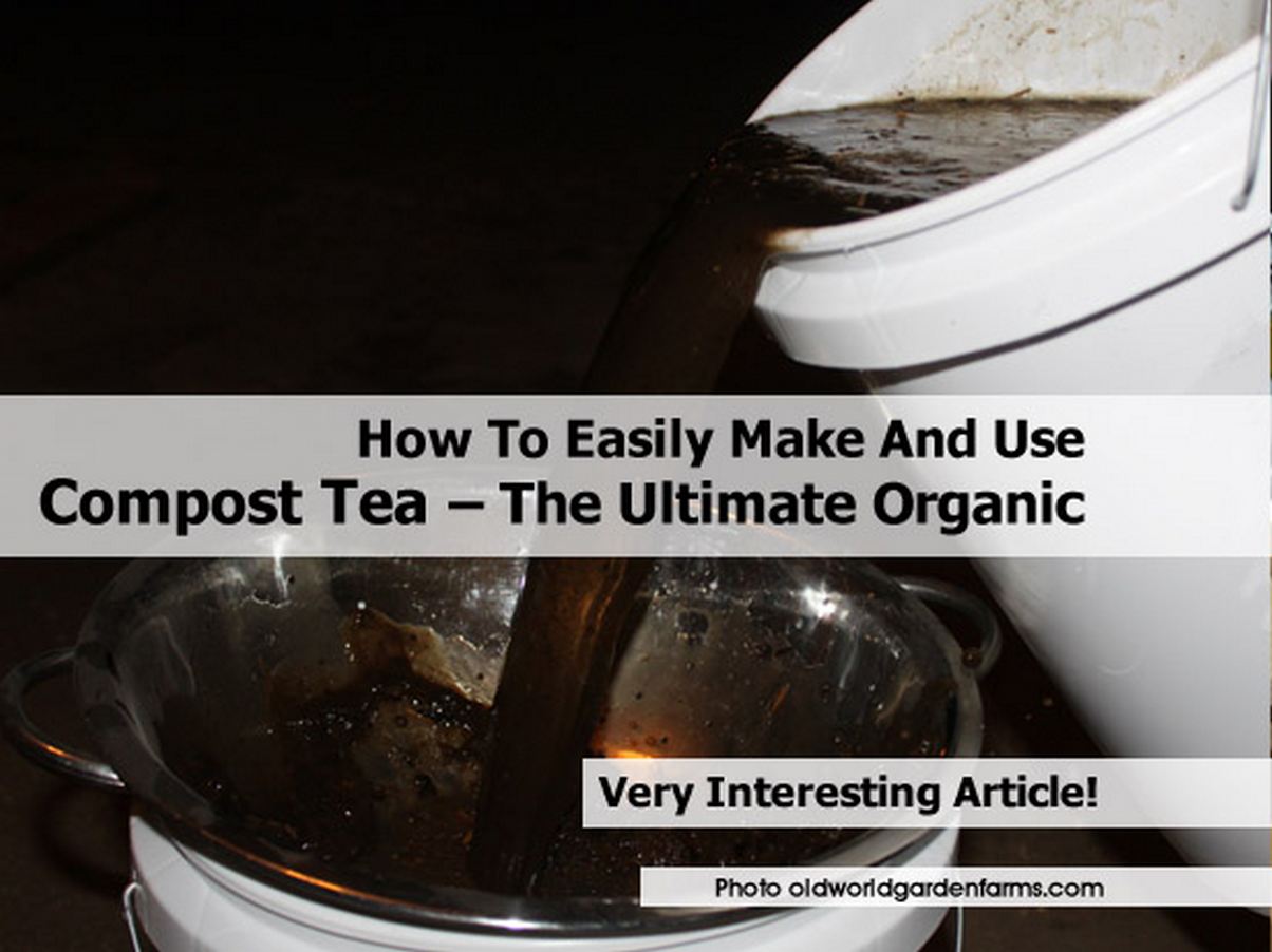 How To Easily Make And Use Compost Tea The Ultimate Organic Fertilizer