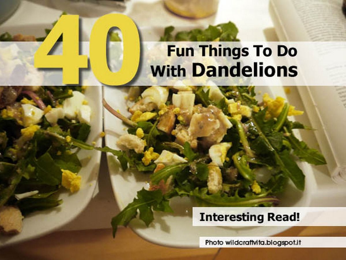 40 Fun Things To Do With Dandelions