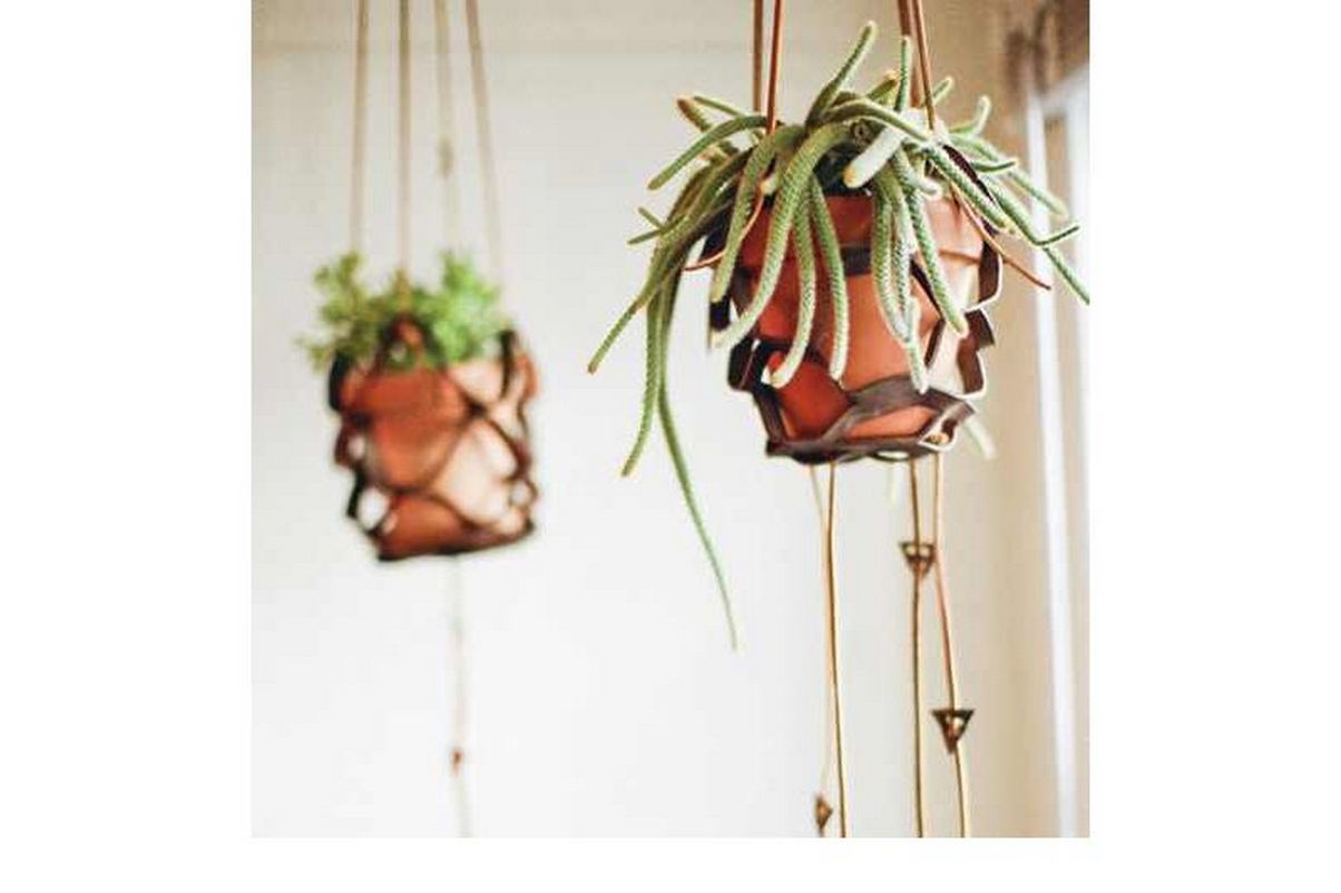 How To Make Beautiful Leather Plant Hangers