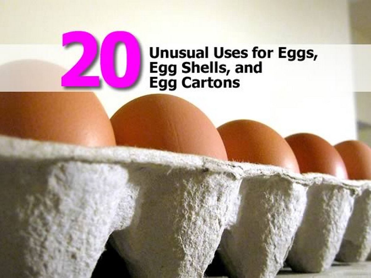20 Unusual Uses for Eggs, Egg Shells, and Egg Cartons