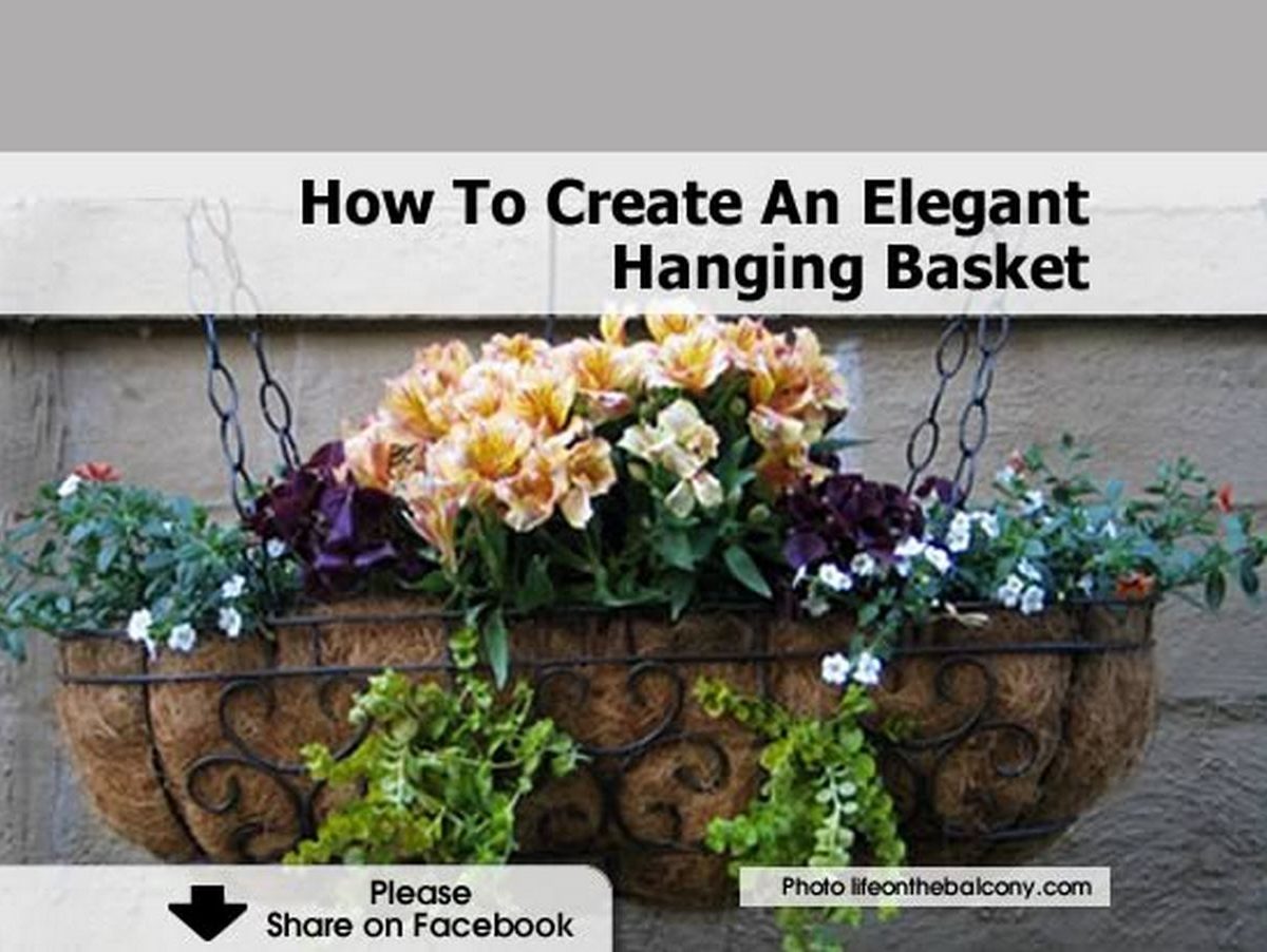 How To Create An Elegant Hanging Basket