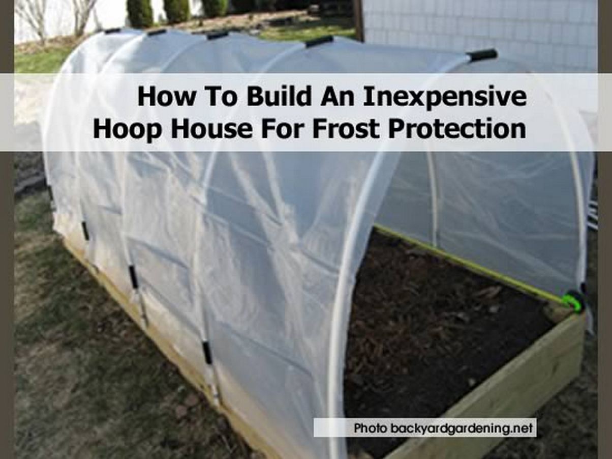 How To Build An Inexpensive Hoop House For Frost Protection