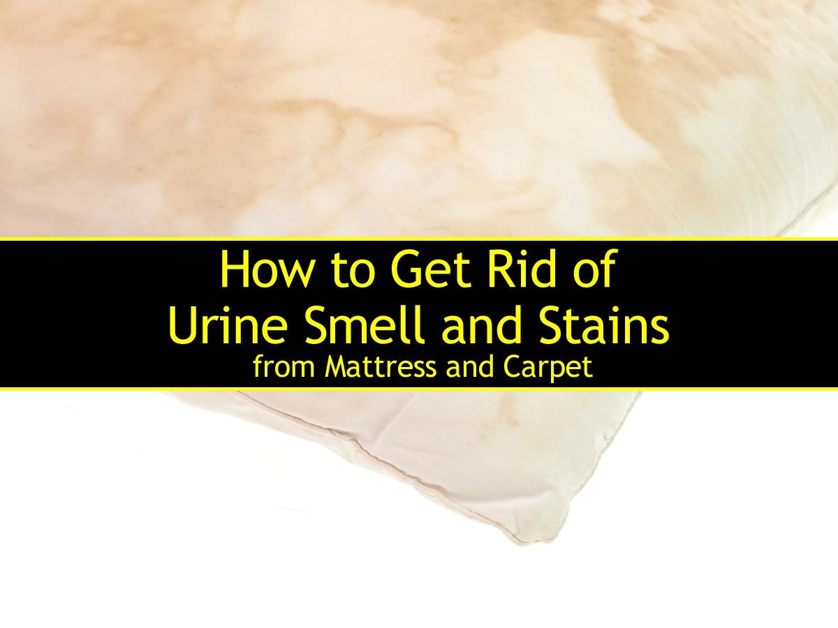 get rid of smell how to get rid of urine smell and stains from mattress and get rid of smell how to get rid of urine smell and stains from mattress and