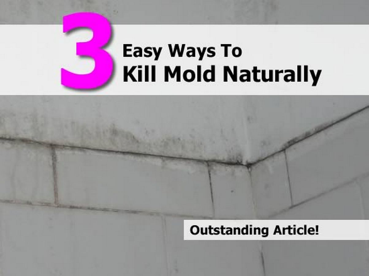 3 Easy Ways To Kill Mold Naturally