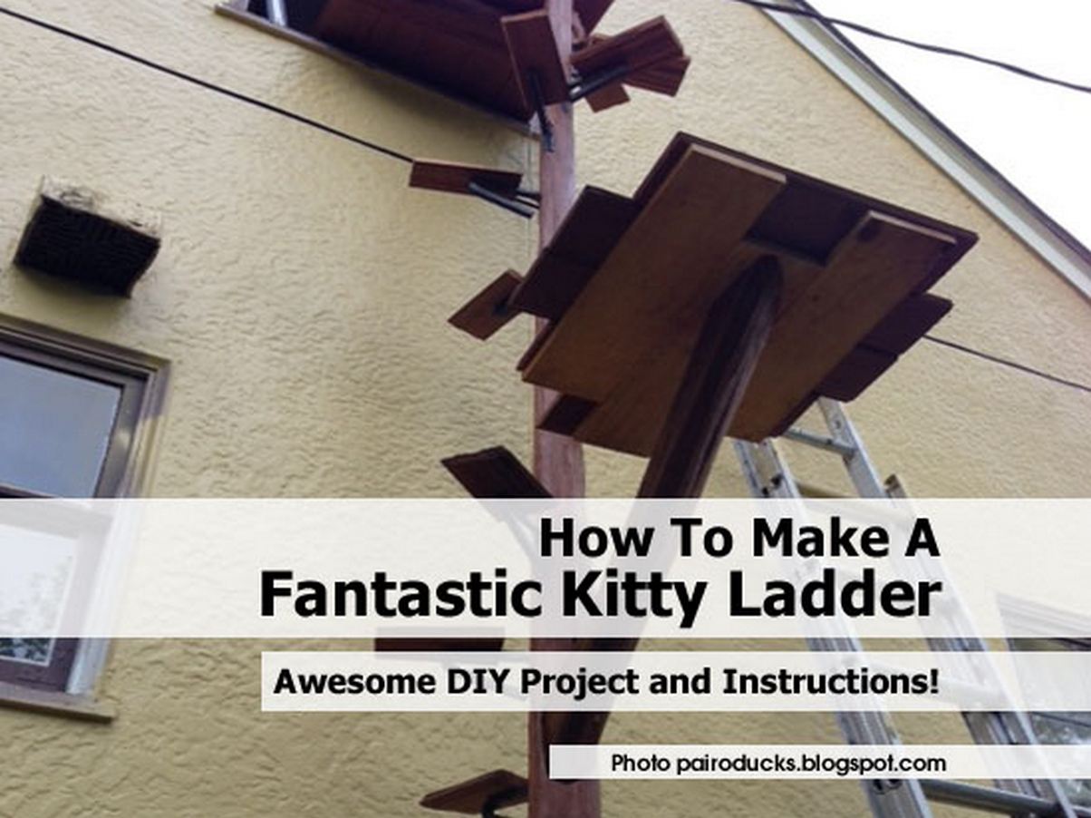 How To Make A Fantastic Kitty Ladder