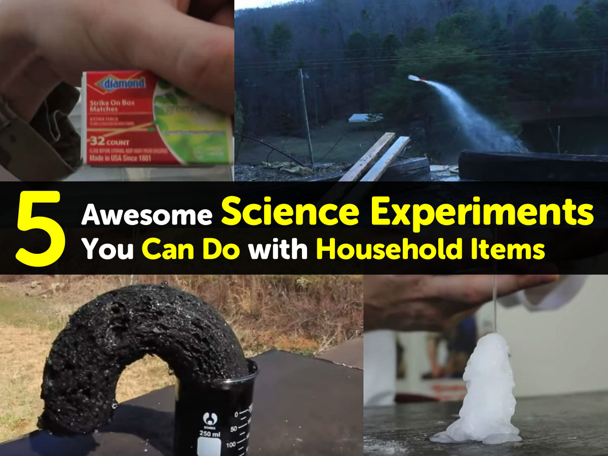 5 Awesome Science Experiments You Can Do with Household Items