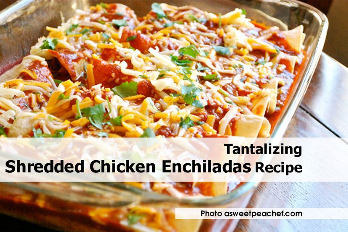 Tantalizing Shredded Chicken Enchiladas Recipe