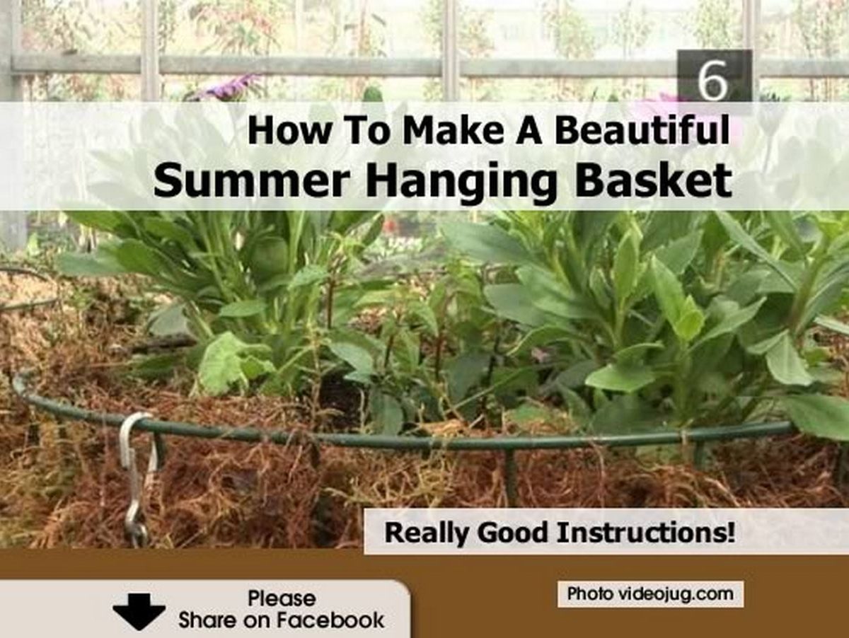 How To Make A Beautiful Summer Hanging Basket