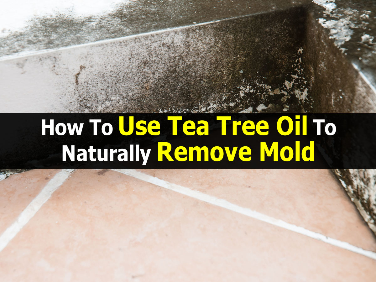 How To Use Tea Tree Oil To Naturally Remove Mold