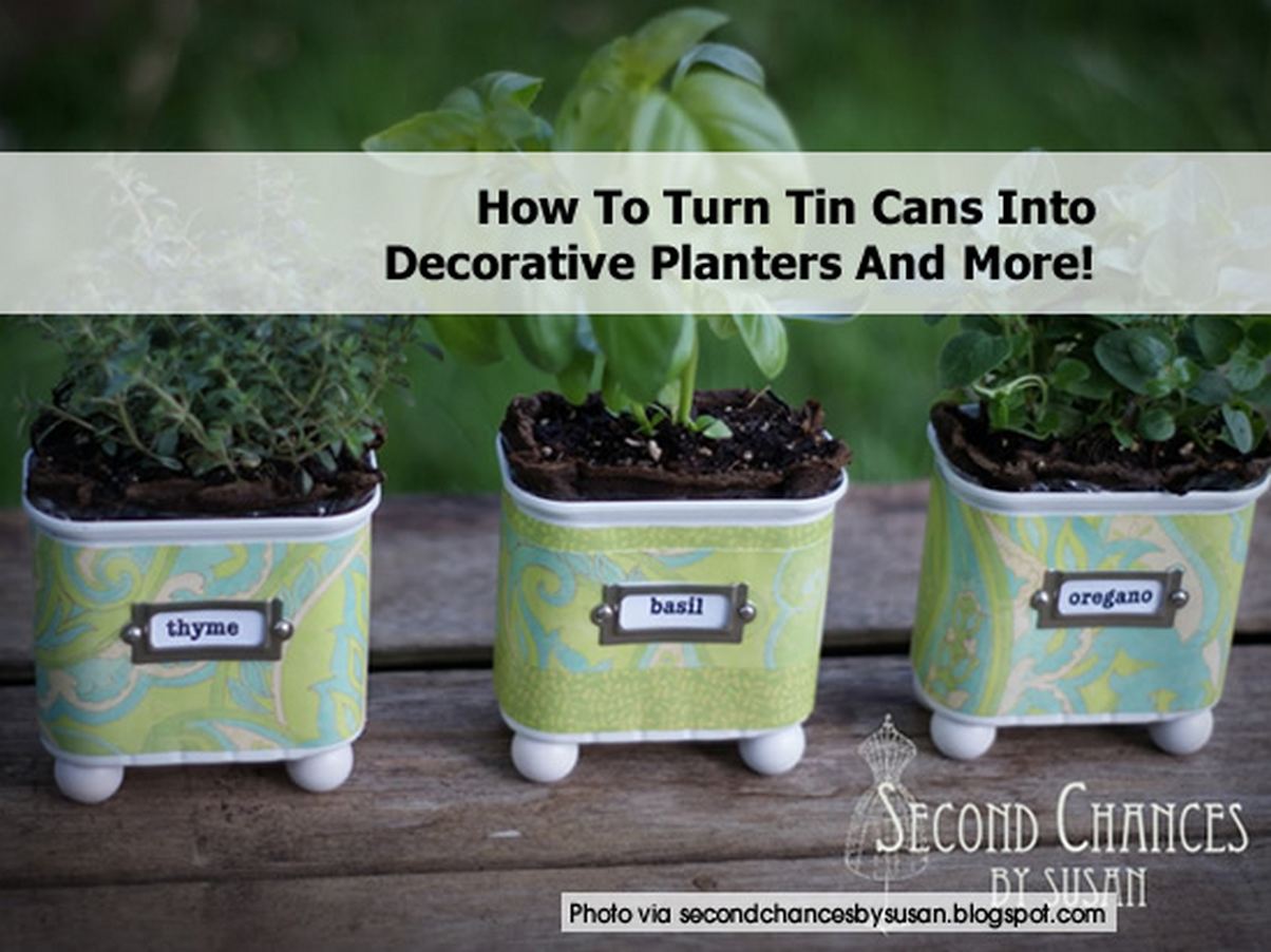 How To Turn Tin Cans Into Decorative Planters And More!