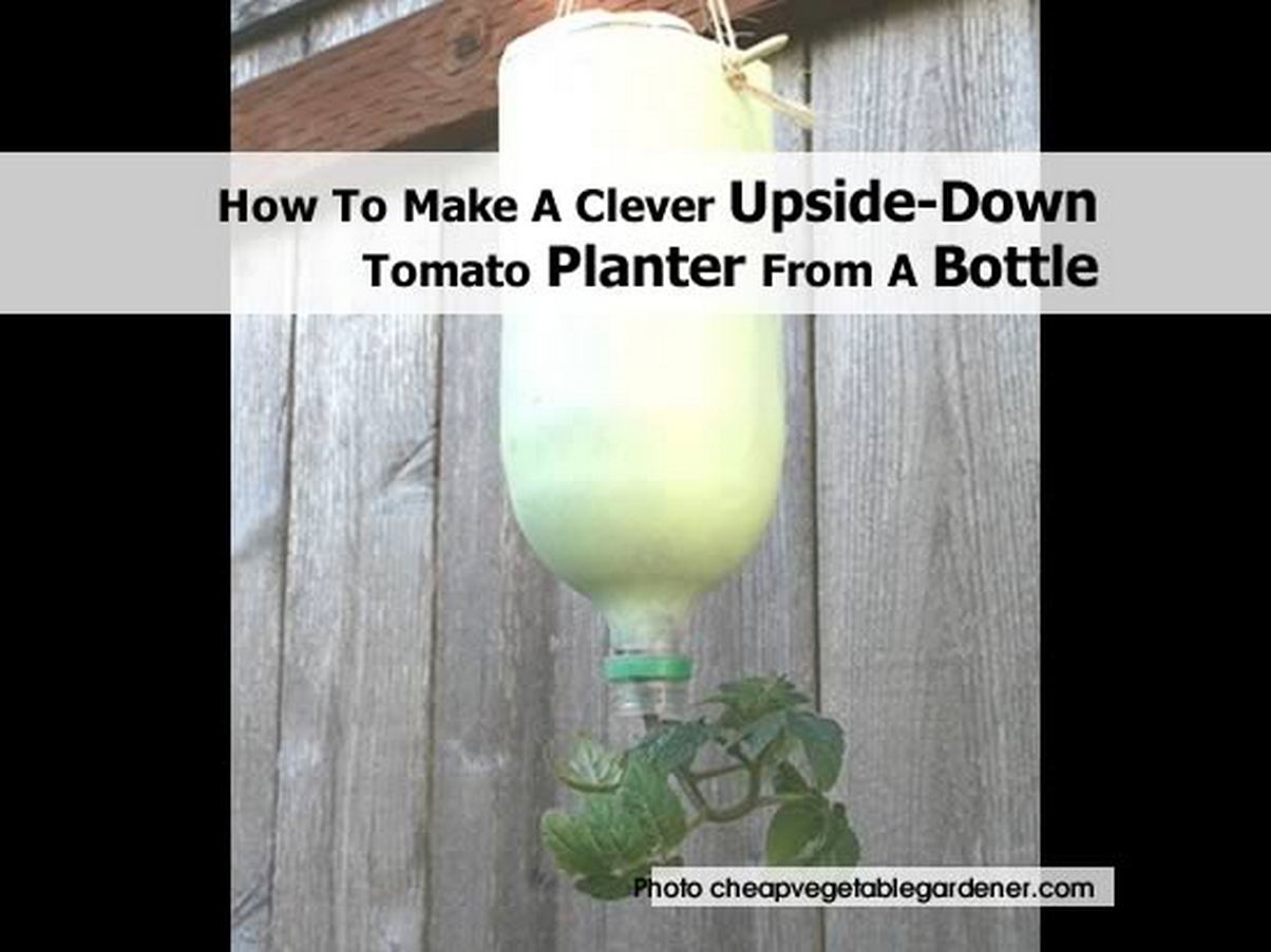 How To Make A Clever UpsideDown Tomato Planter From A Bottle