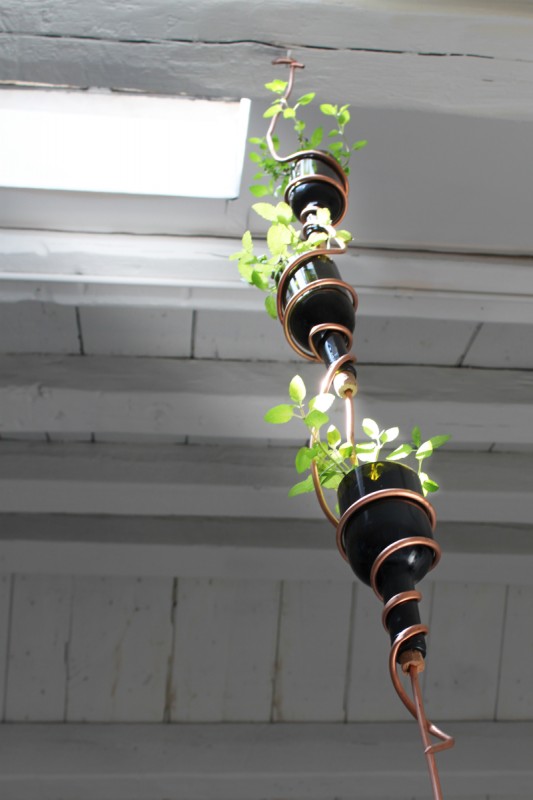 How to Make Wine bottles Into a Hanging Herb Garden