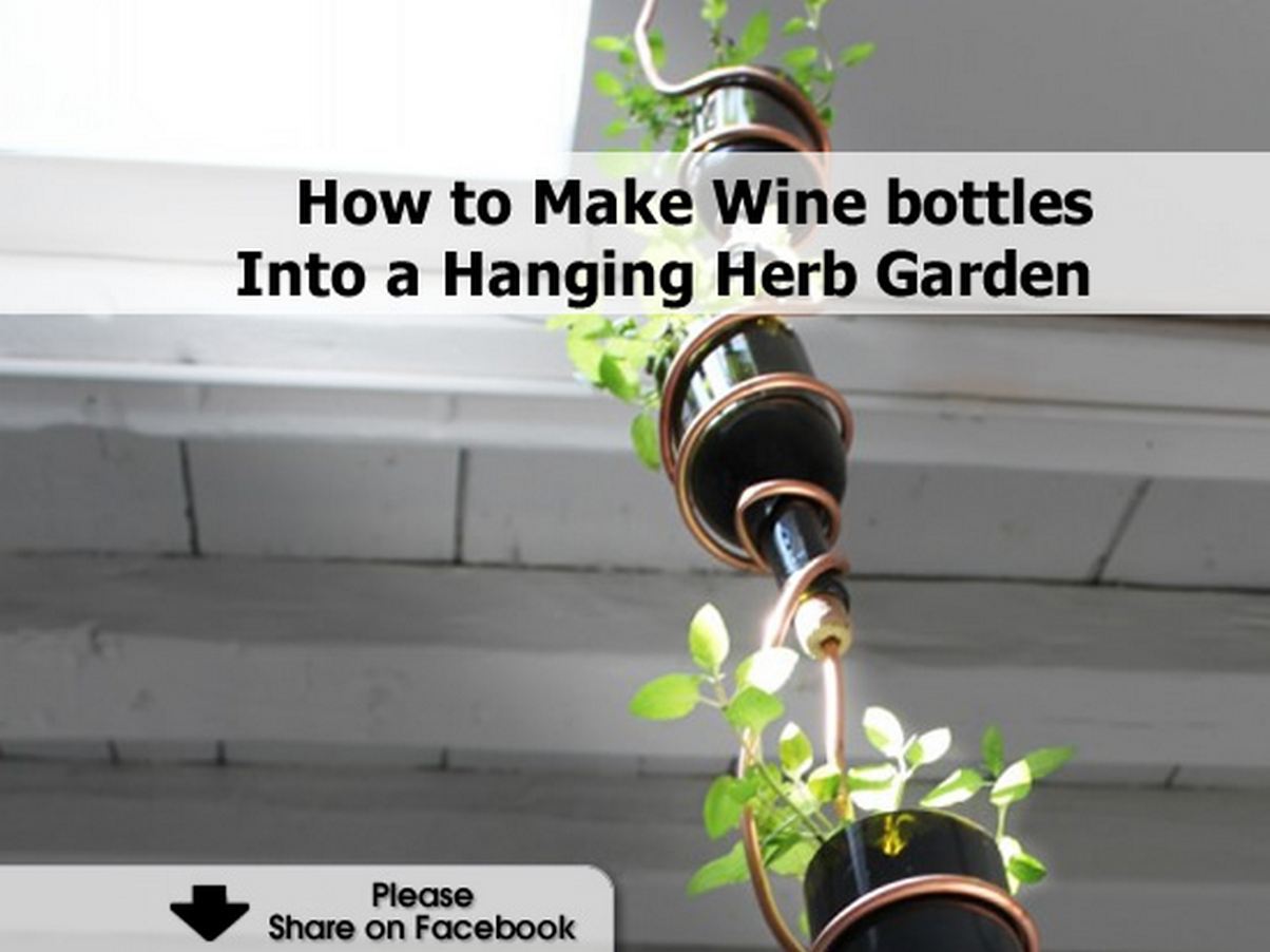 How to Make Wine bottles Into a Hanging Herb Garden