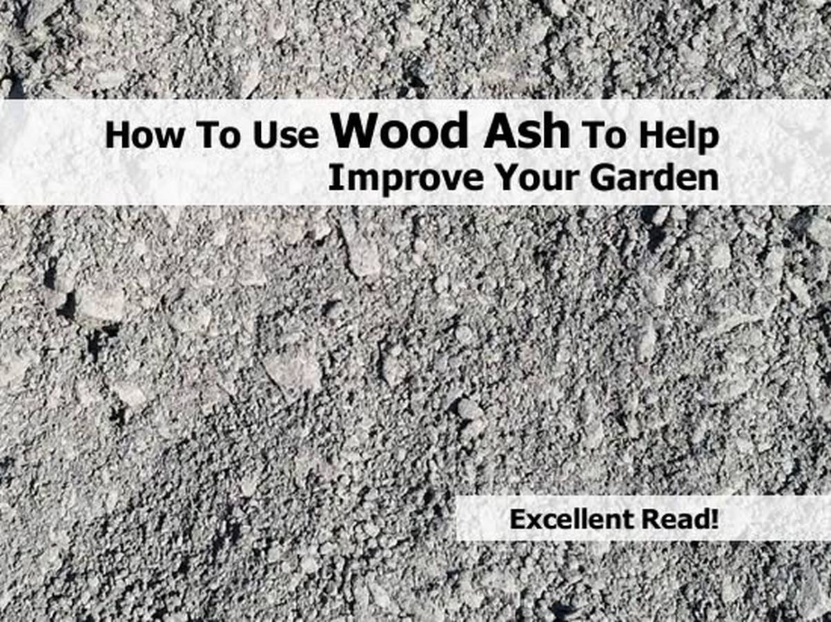 Can You Use Wood Ash In Your Garden at Rex Zamora blog
